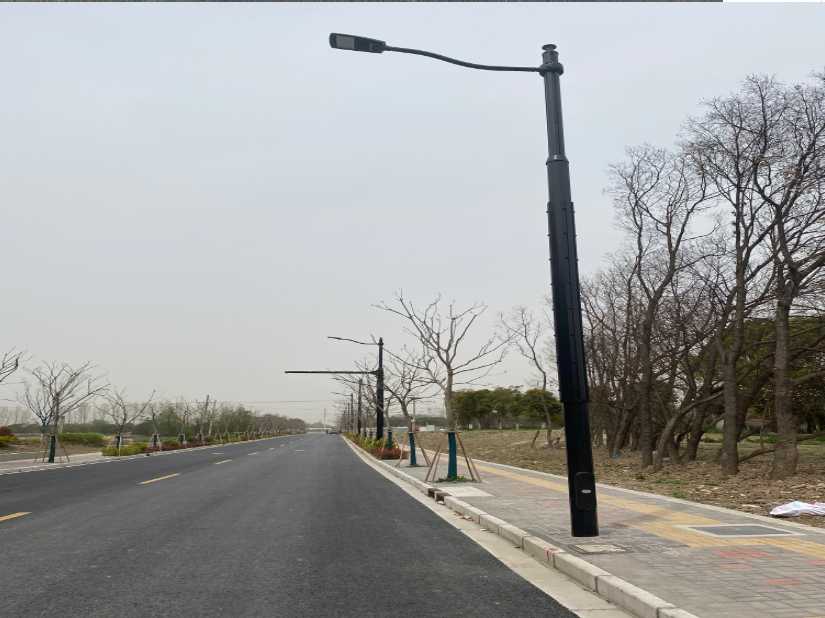 元阳县上海综合杆 太阳能路灯工程